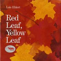 Red Leaf, Yellow Leaf by Lois Ehlert